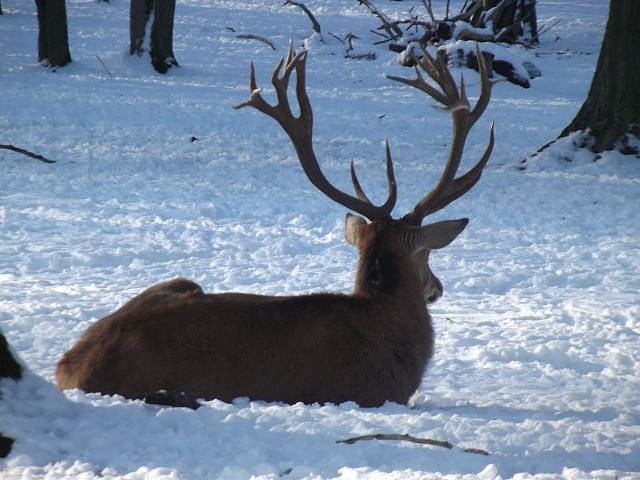 Winterspa&szlig; auf dem Possen