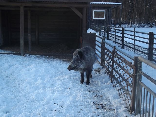 Winterspa&szlig; auf dem Possen