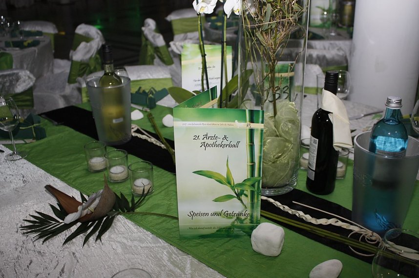 &Auml;rzte- und Apothekerball 2017