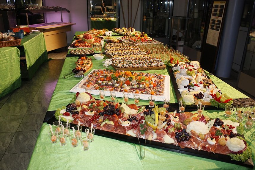 &Auml;rzte- und Apothekerball 2017