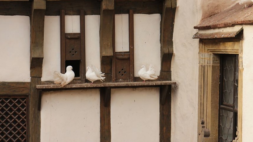 Besuch auf der Wartburg