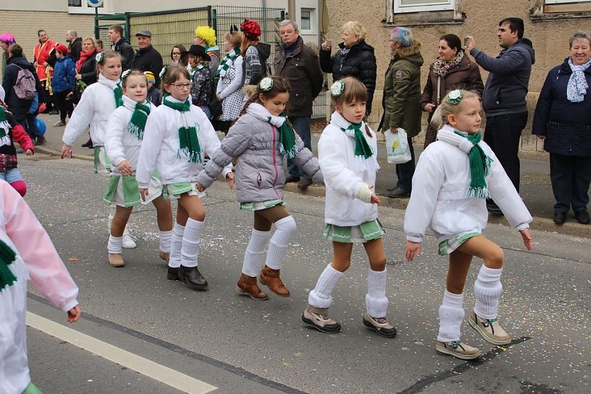 N&auml;rrinnen und Narren ziehen durch die Stadt (2)