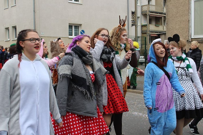 N&auml;rrinnen und Narren ziehen durch die Stadt (2)