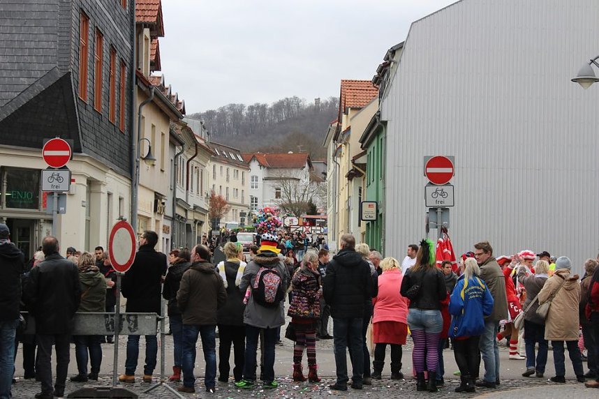 N&auml;rrinnen und Narren ziehen durch die Stadt (2)