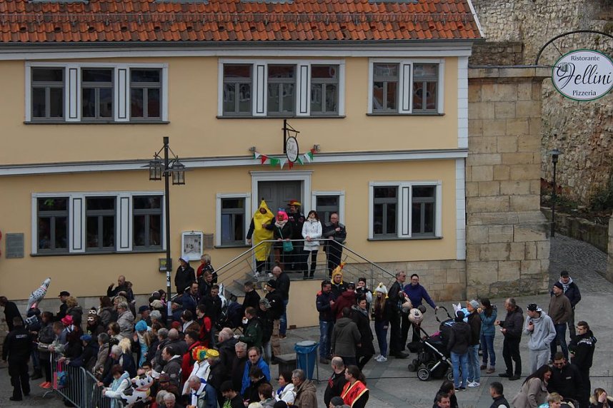 N&auml;rrinnen, Narren und schr&auml;ge Typen