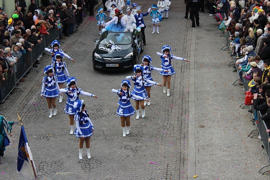 N&auml;rrinnen, Narren und schr&auml;ge Typen
