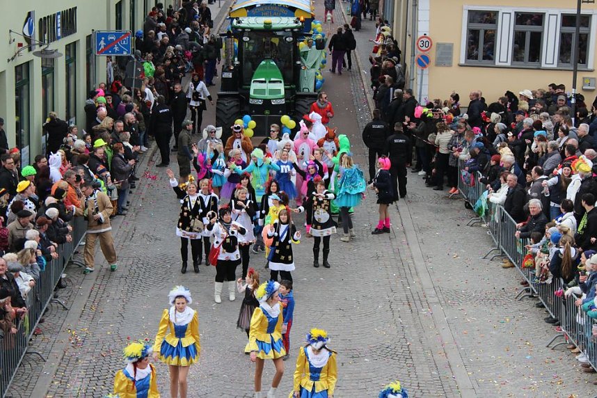 N&auml;rrinnen, Narren und schr&auml;ge Typen