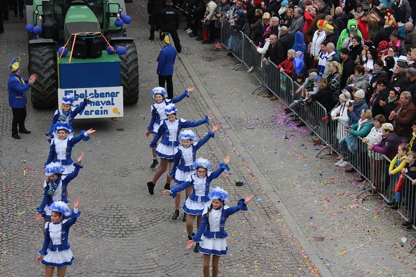 N&auml;rrinnen, Narren und schr&auml;ge Typen