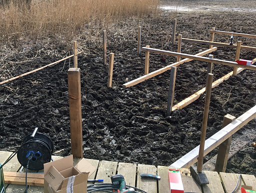 Fr&uuml;hlingserwachen an den Bebraer Teichen ...