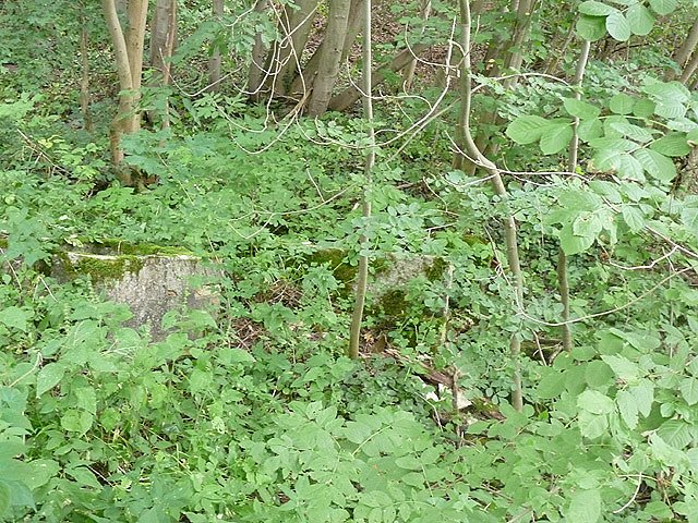 Fischer-M&uuml;hle Helbetal