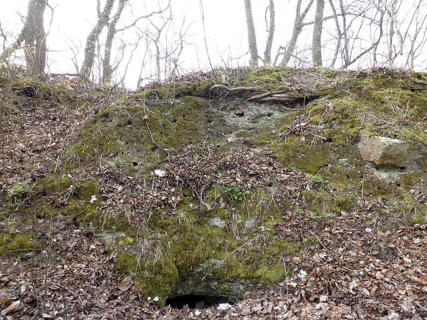 1. April Bismarckturm ge&ouml;ffnet