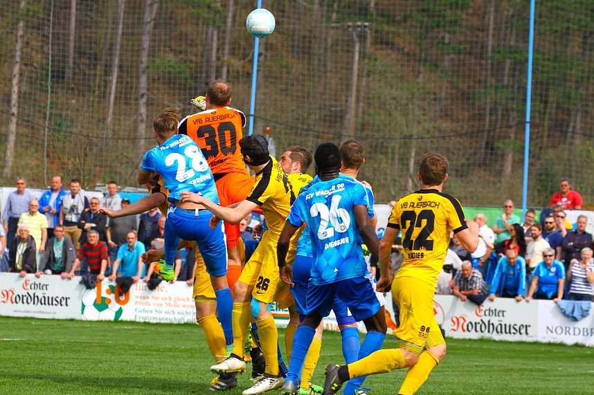 Wacker verliert gegen Auerbach im heimischen AKS