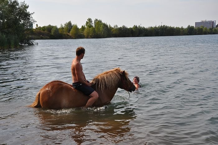 Kampf der Giganten Sundhausen
