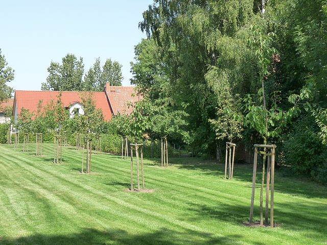 Lottomittel f&uuml;r Schlosspark Ebeleben