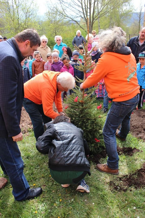 Wettergl&uuml;ck beim Baumfest