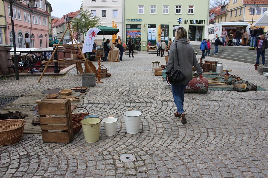 Gr&uuml;ne und bunte Oase Sondershausen