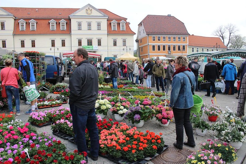 Gr&uuml;ne und bunte Oase Sondershausen