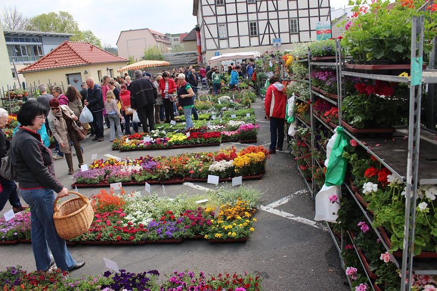 Gr&uuml;ne und bunte Oase Sondershausen