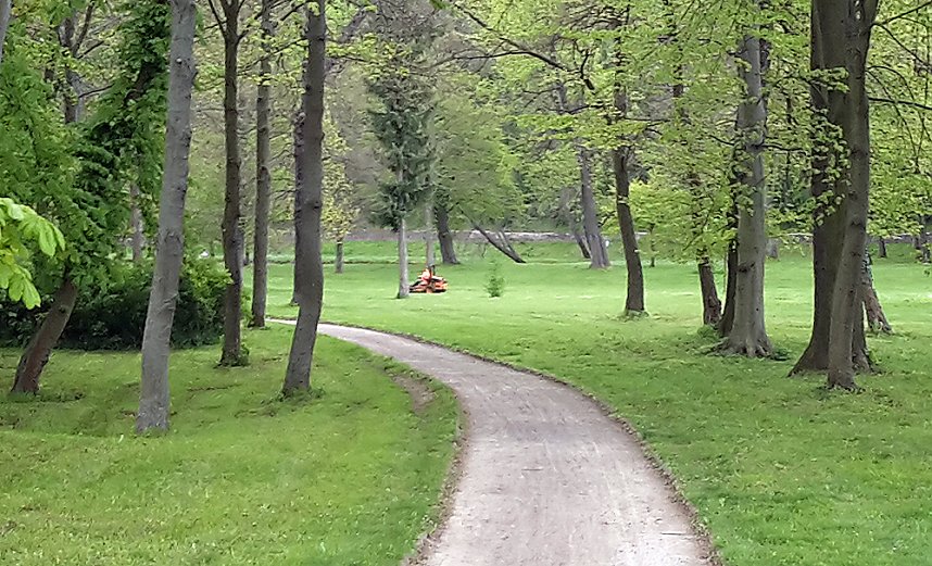 Probleme mit der Sauberkeit