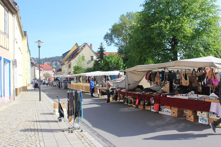 Fliederz&uuml;chtung nach Bad Frankenhausen benannt