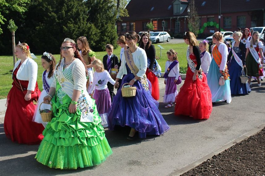 Fliederz&uuml;chtung nach Bad Frankenhausen benannt