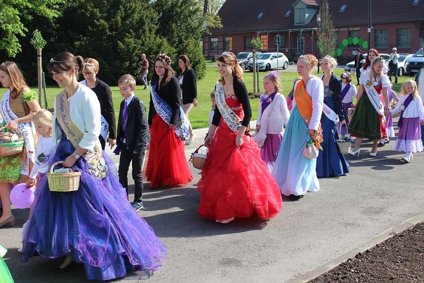 Fliederz&uuml;chtung nach Bad Frankenhausen benannt