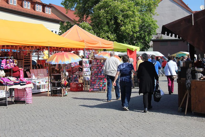 Fliederz&uuml;chtung nach Bad Frankenhausen benannt