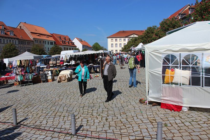 Fliederz&uuml;chtung nach Bad Frankenhausen benannt