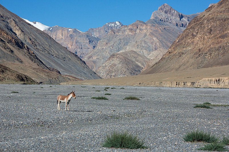 Impressionen vom Indischen Himalaya