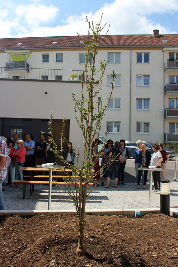 "Fortschritt" feiert Einzug in Gesch&auml;ftsstelle