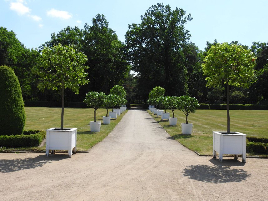 Lustwandeln im Park von Oranienbaum