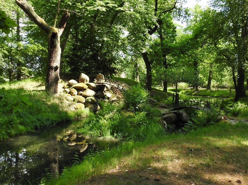 Lustwandeln im Park von Oranienbaum