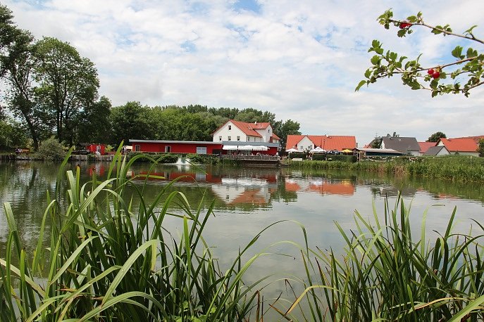 Tipp f&uuml;r Fisch-Fans in Bad Frankenhausen