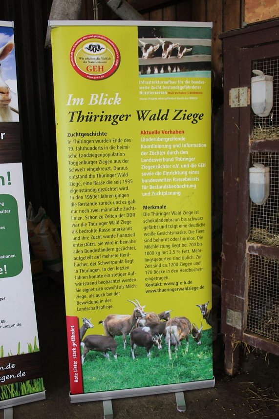  Ministerpr&auml;sident wird Pate von Tieren