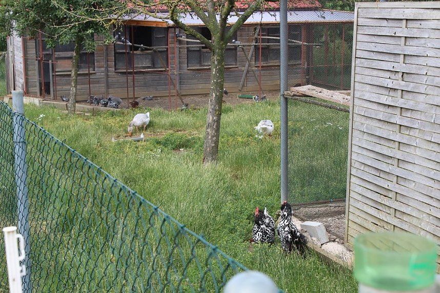  Ministerpr&auml;sident wird Pate von Tieren