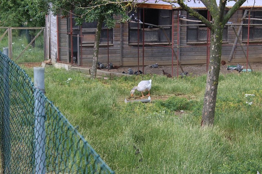  Ministerpr&auml;sident wird Pate von Tieren