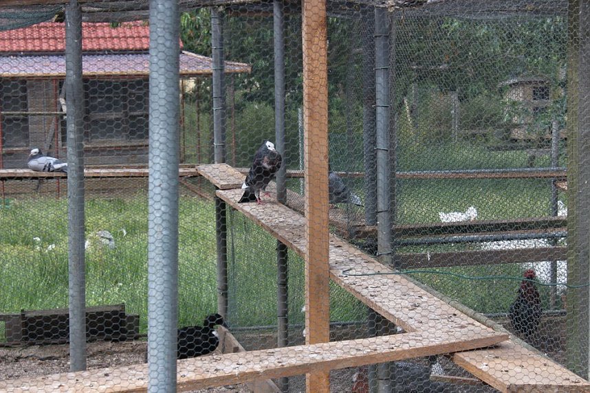  Ministerpr&auml;sident wird Pate von Tieren