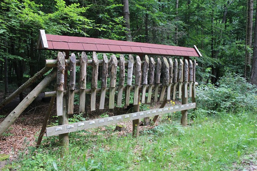 Waldbegehung am Possen im unterschiedlicher Resonanz