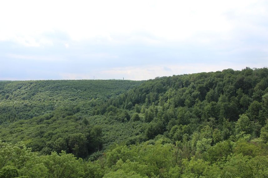 Waldbegehung am Possen im unterschiedlicher Resonanz