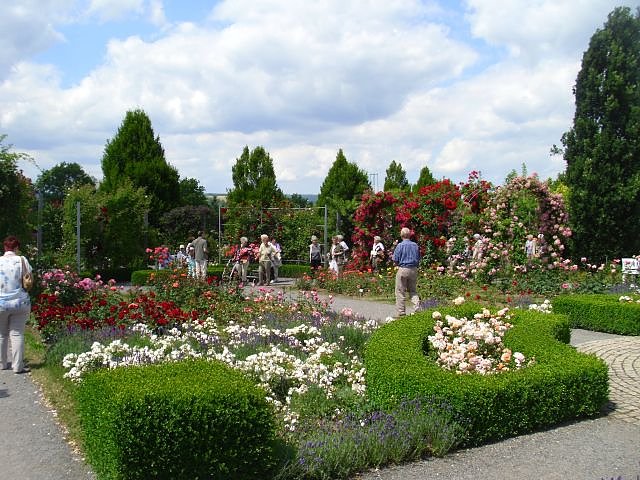 WB 4 besuchte Europa-Rosarium Sangerhausen