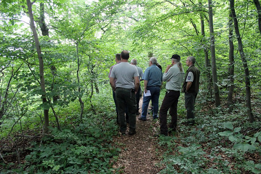 Waldbegehung am Possen mit unterschiedlicher Resonanz