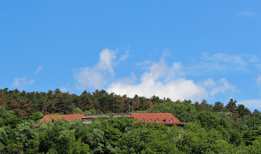 Bald Pflegehotel f&uuml;r Bad Frankenhausen?