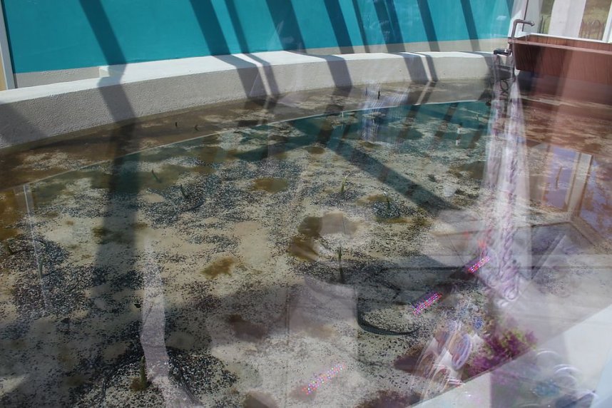 Solewasser-Vitalbad besucht - Urlaub pur!