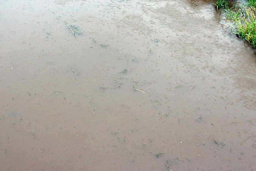 Dauerregen besch&auml;ftigt Feuerwehren