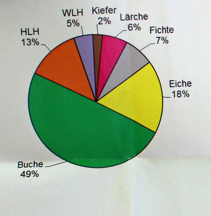 Waldbegehung mit Siegesmund und Kieling