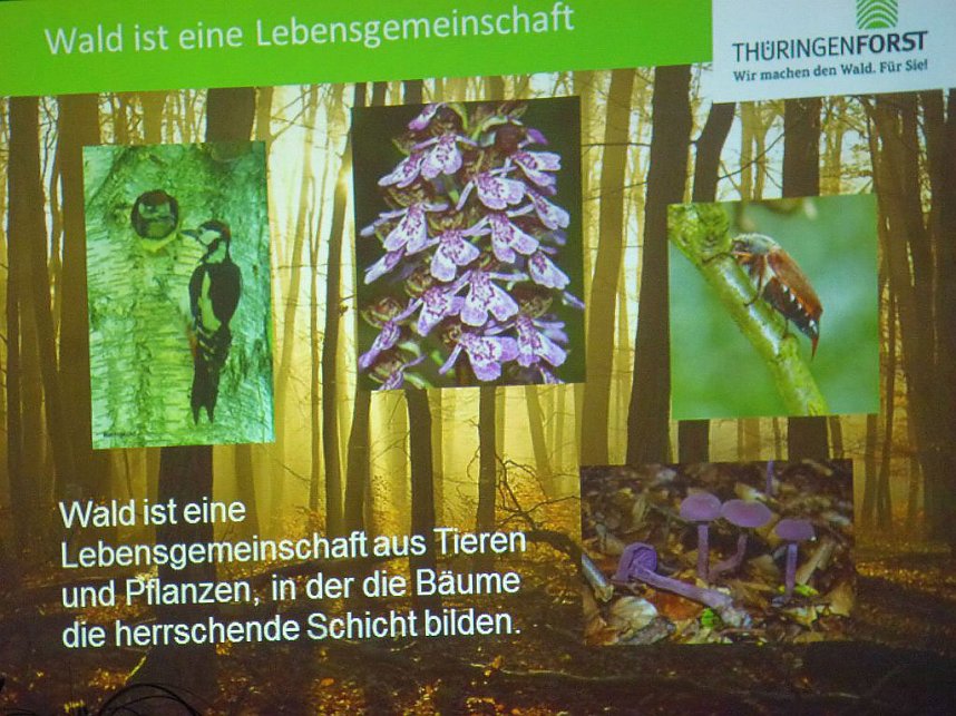 Revierf&ouml;rster mit bildlicher Wanderung