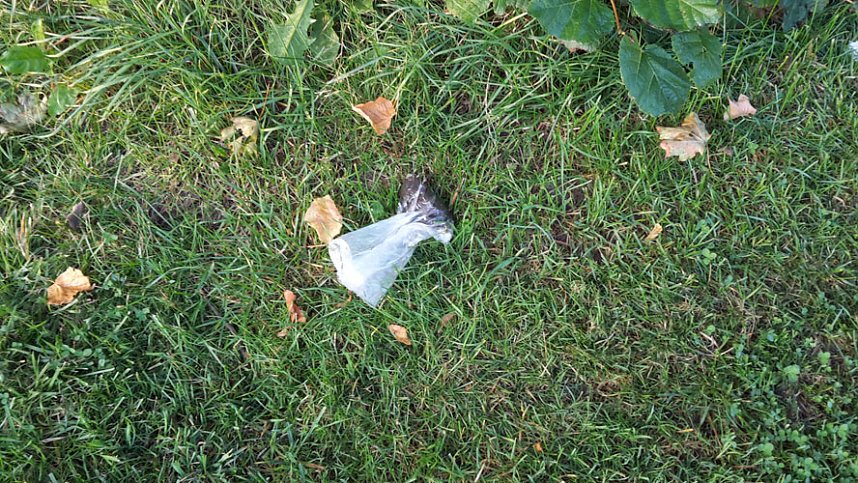 Positives und Negatives