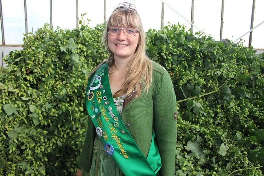 Start der Hopfenernte in Gro&szlig;enehrich