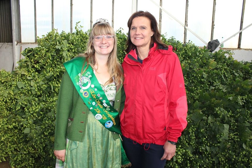 Start der Hopfenernte in Gro&szlig;enehrich