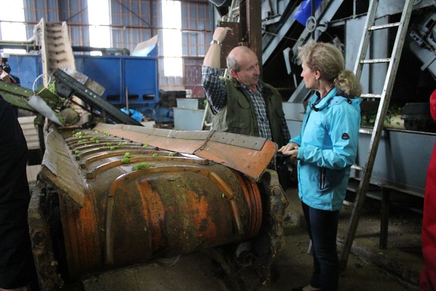 Start der Hopfenernte in Gro&szlig;enehrich